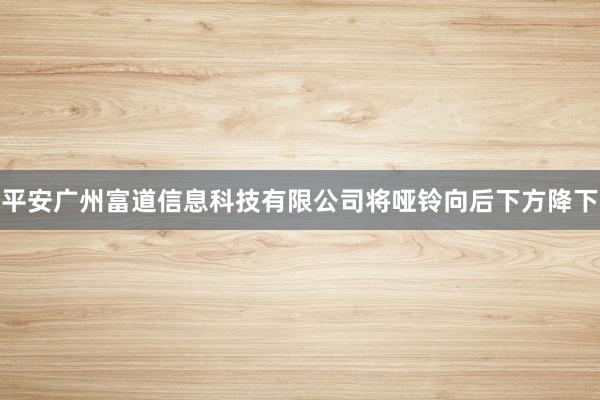 平安广州富道信息科技有限公司将哑铃向后下方降下
