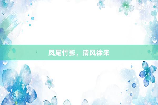 凤尾竹影，清风徐来