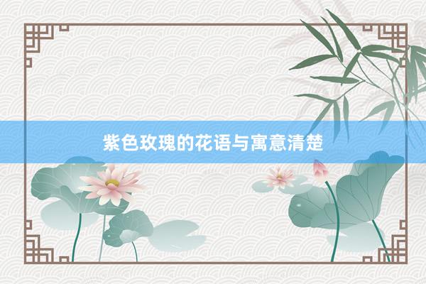 紫色玫瑰的花语与寓意清楚